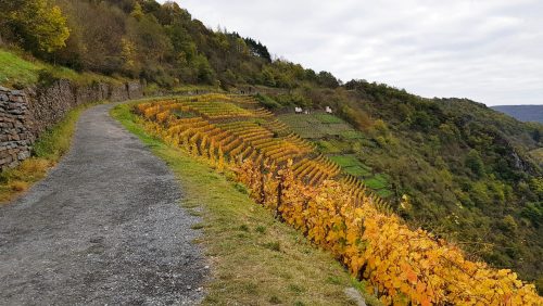 Rotweinwanderweg Ahrtal