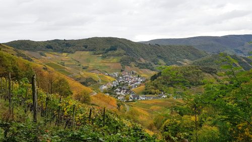 Rotweinwanderweg Ahrtal