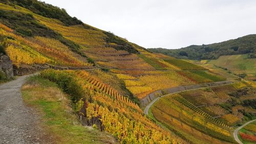 Rotweinwanderweg Ahrtal