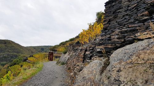 Rotweinwanderweg Ahrtal