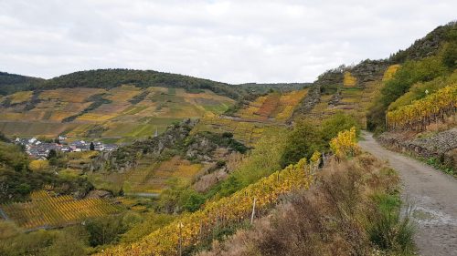 Rotweinwanderweg Ahrtal
