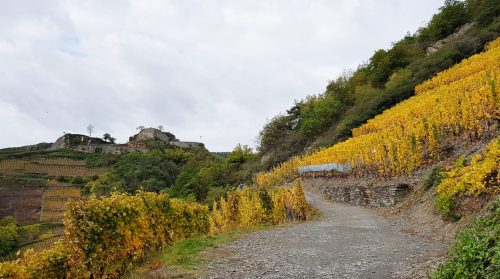 Rotweinwanderweg Ahrtal