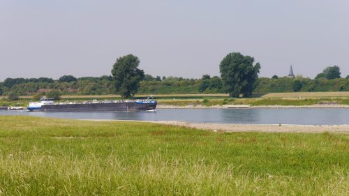 Zons