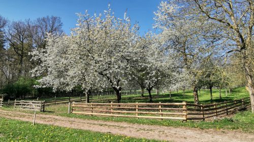 LVR-Freilichtmuseum Kommern